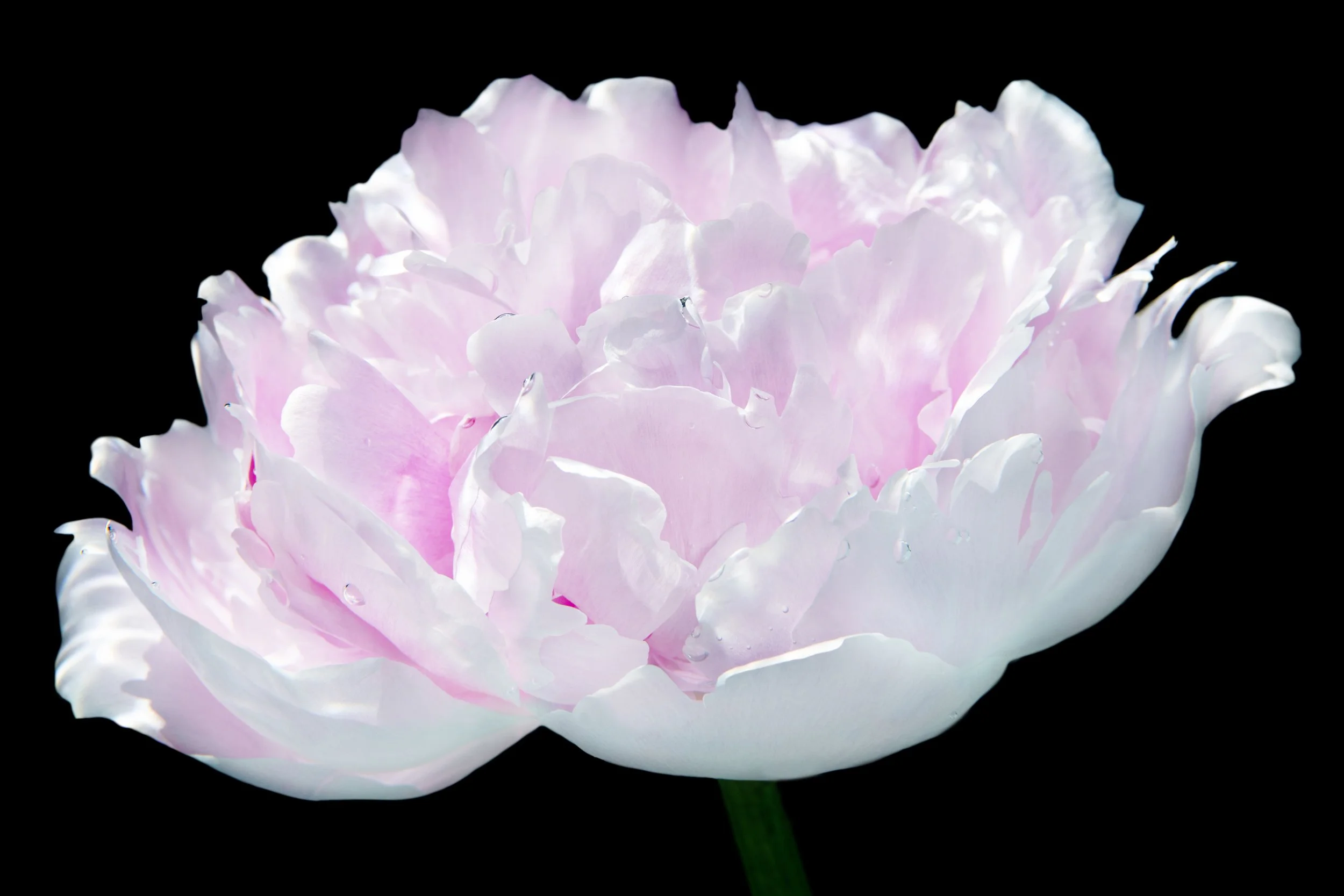 DSC_8153-2.jpg