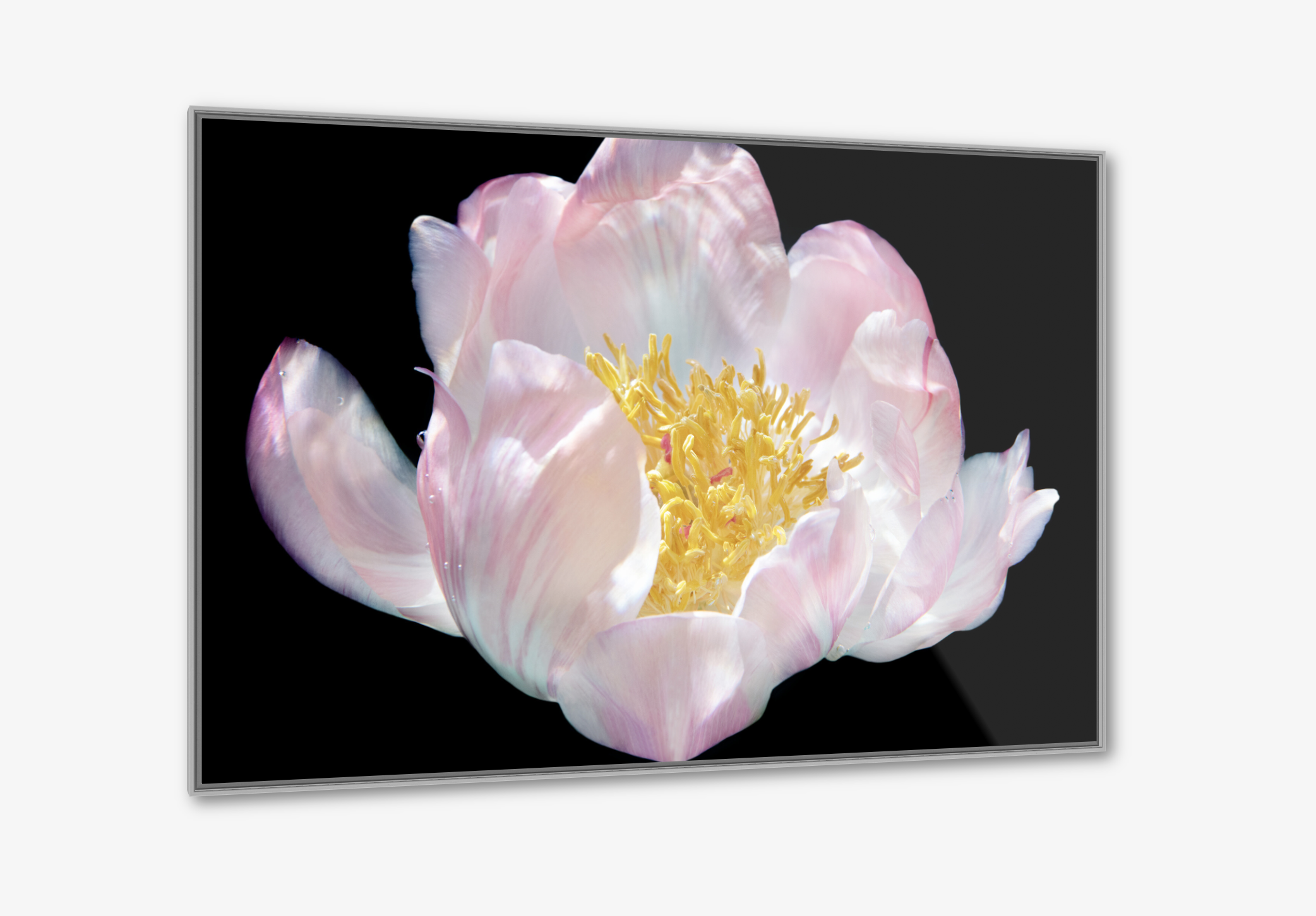 Screen Shot 2022-06-26 at 6.45.32 AM.png