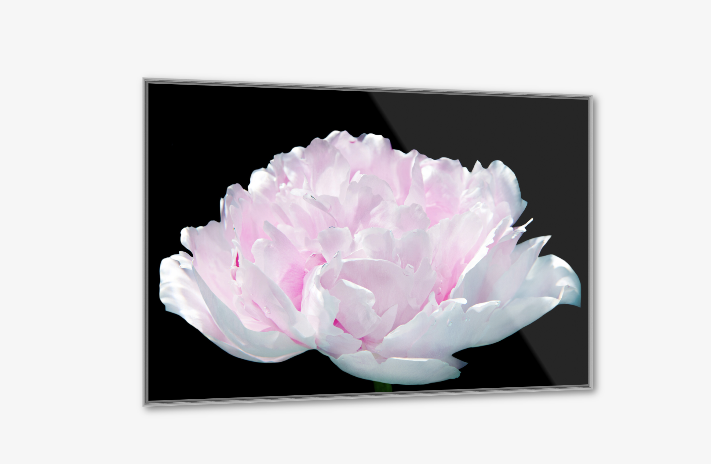 Screen Shot 2022-06-26 at 6.40.18 AM.png