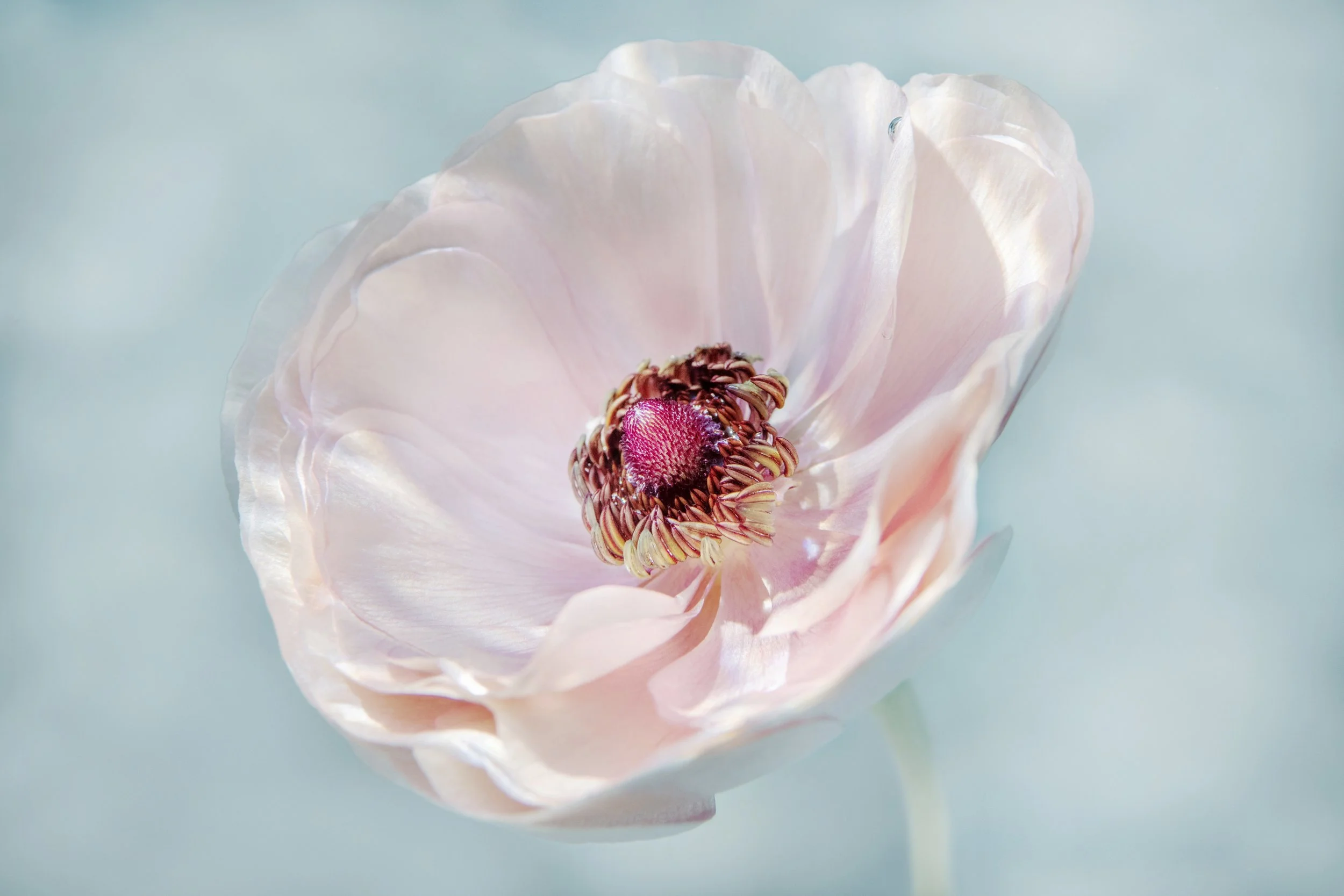 DSC_8477.jpg