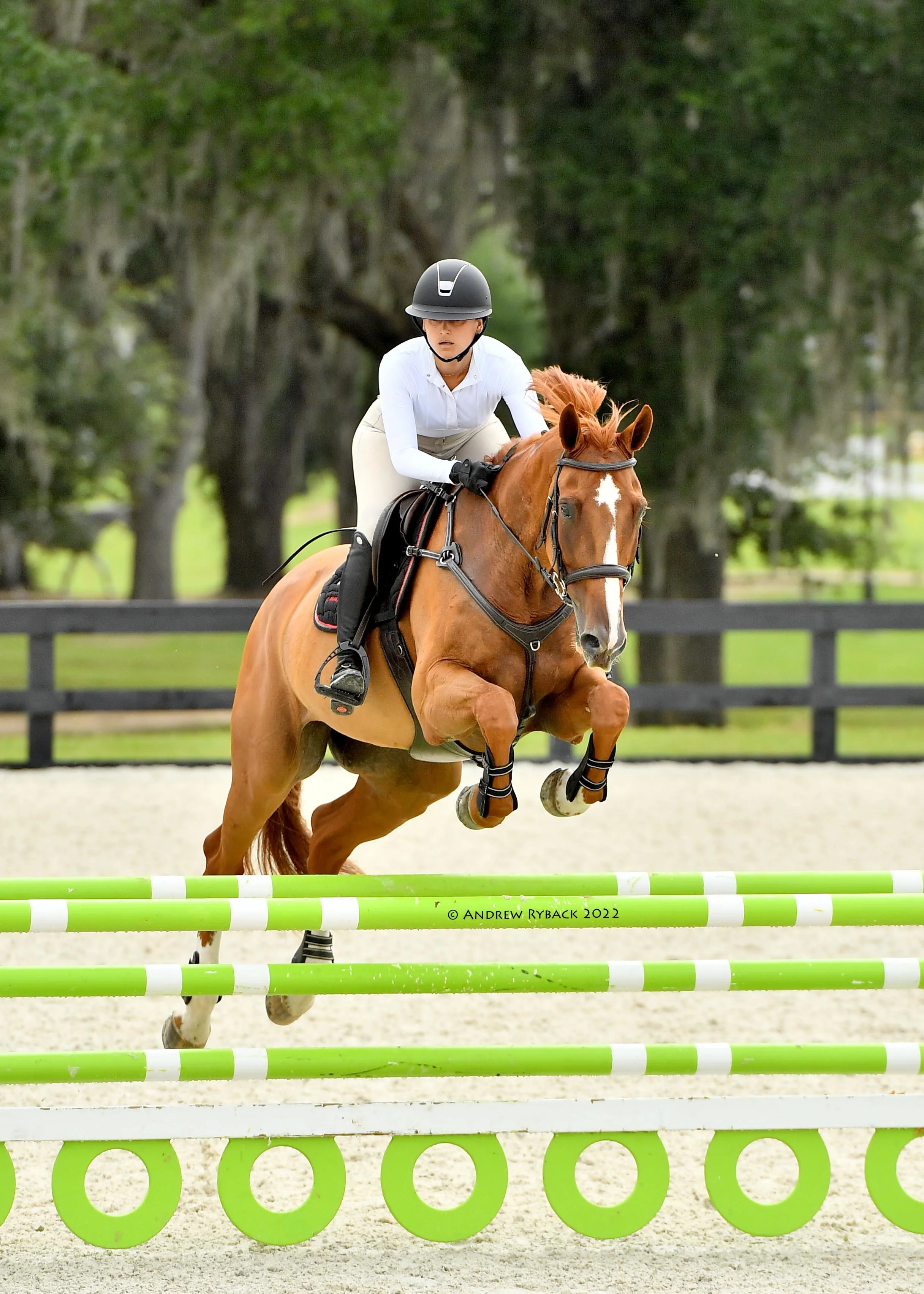 armasdigital.3 Jesús .jpg