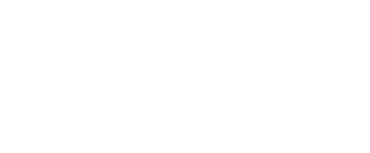 MOUNTAINVIEW Capital Partners