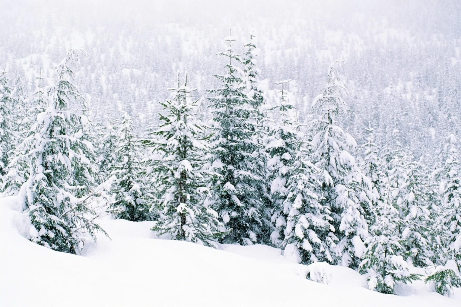 Essential Tips to Protect Your Hearing During the Cold Season