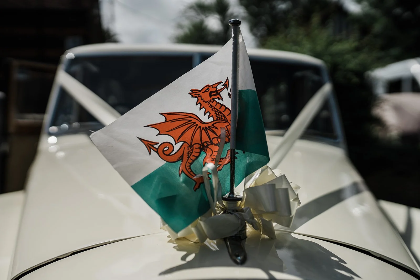 credit: katie rogers photography