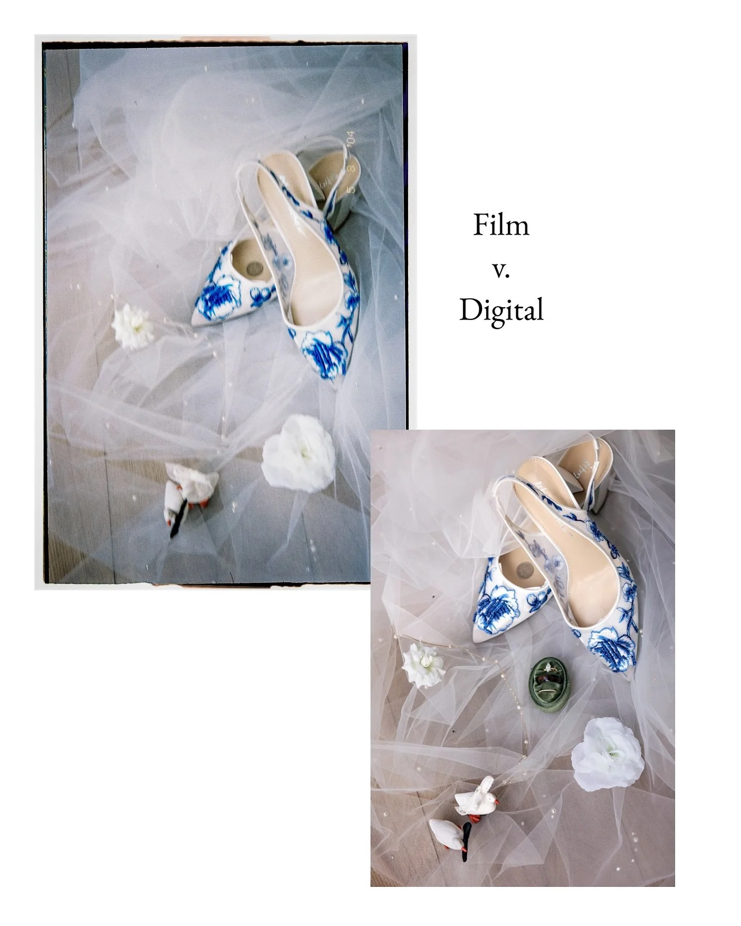 Let&rsquo;s talk film. 

Our guy Harry Styles knows, it&rsquo;s not the same as it was. But which is better?

The fact is, film and digital both have a huge place in our hearts. Camera technology has come so far over the last few decades with the eme