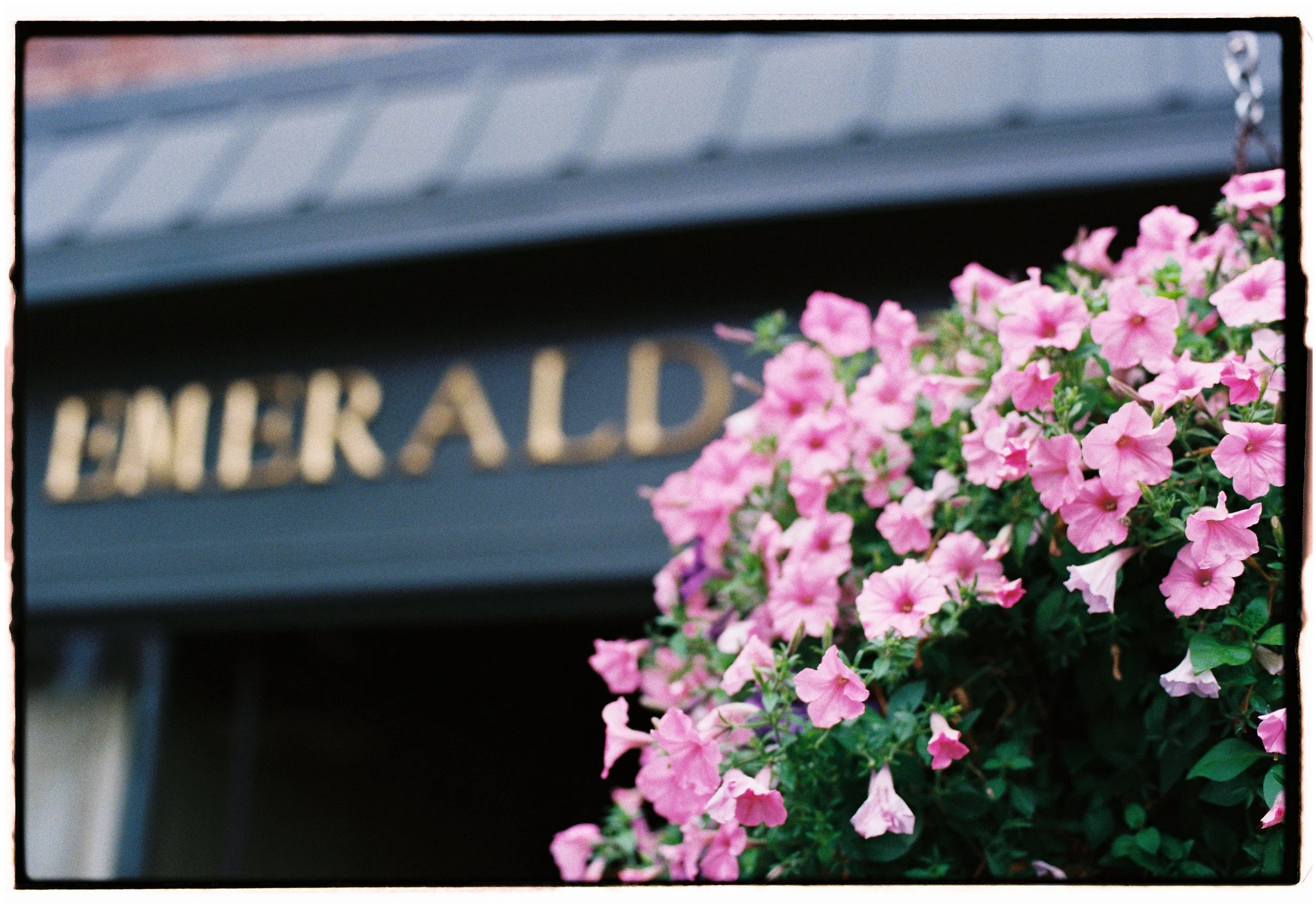 KM_5152_Fuji 400_136121-R1-021-9.jpg