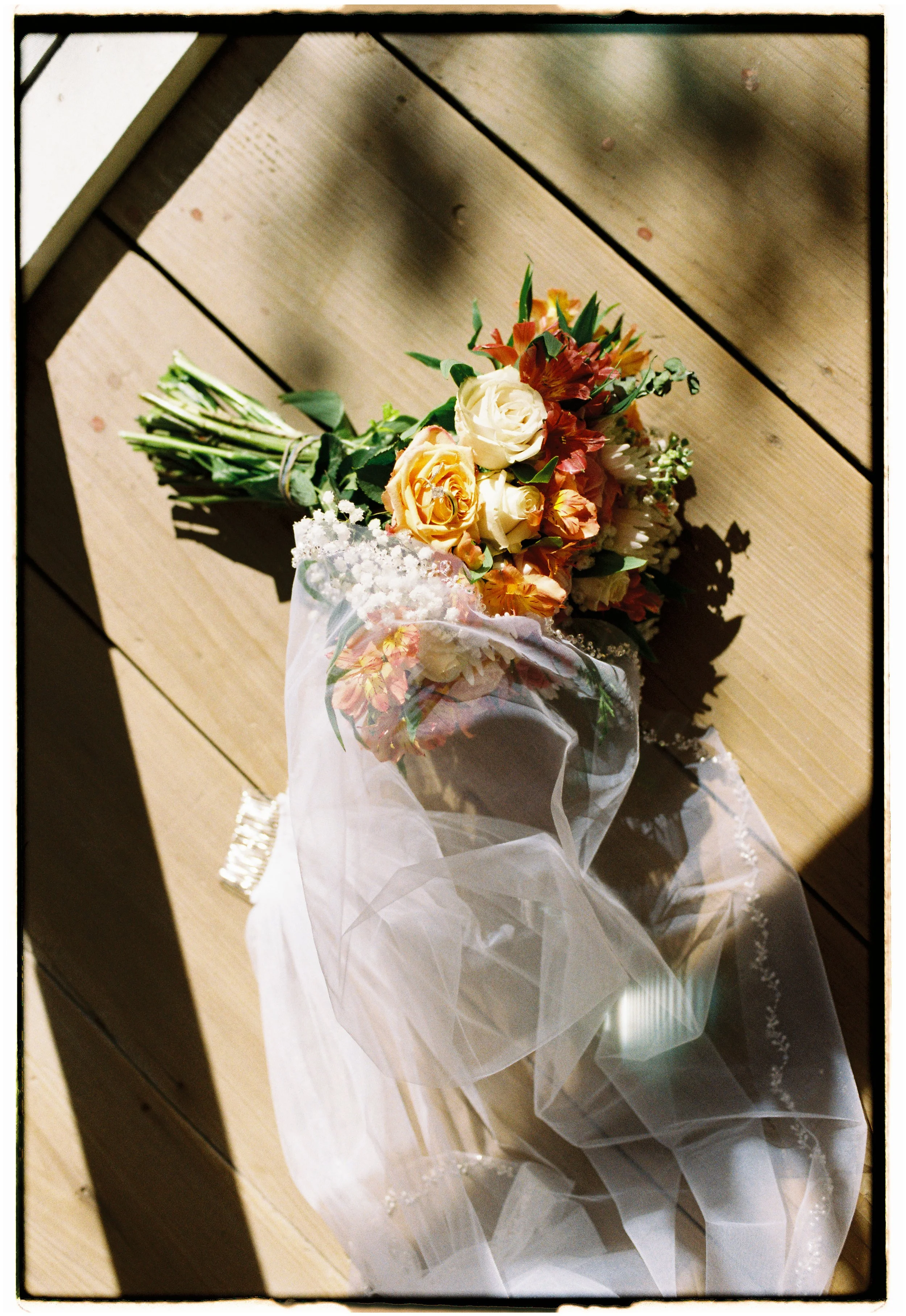 KM_7997_Colorplus 200_131922-R1-005-1.jpg