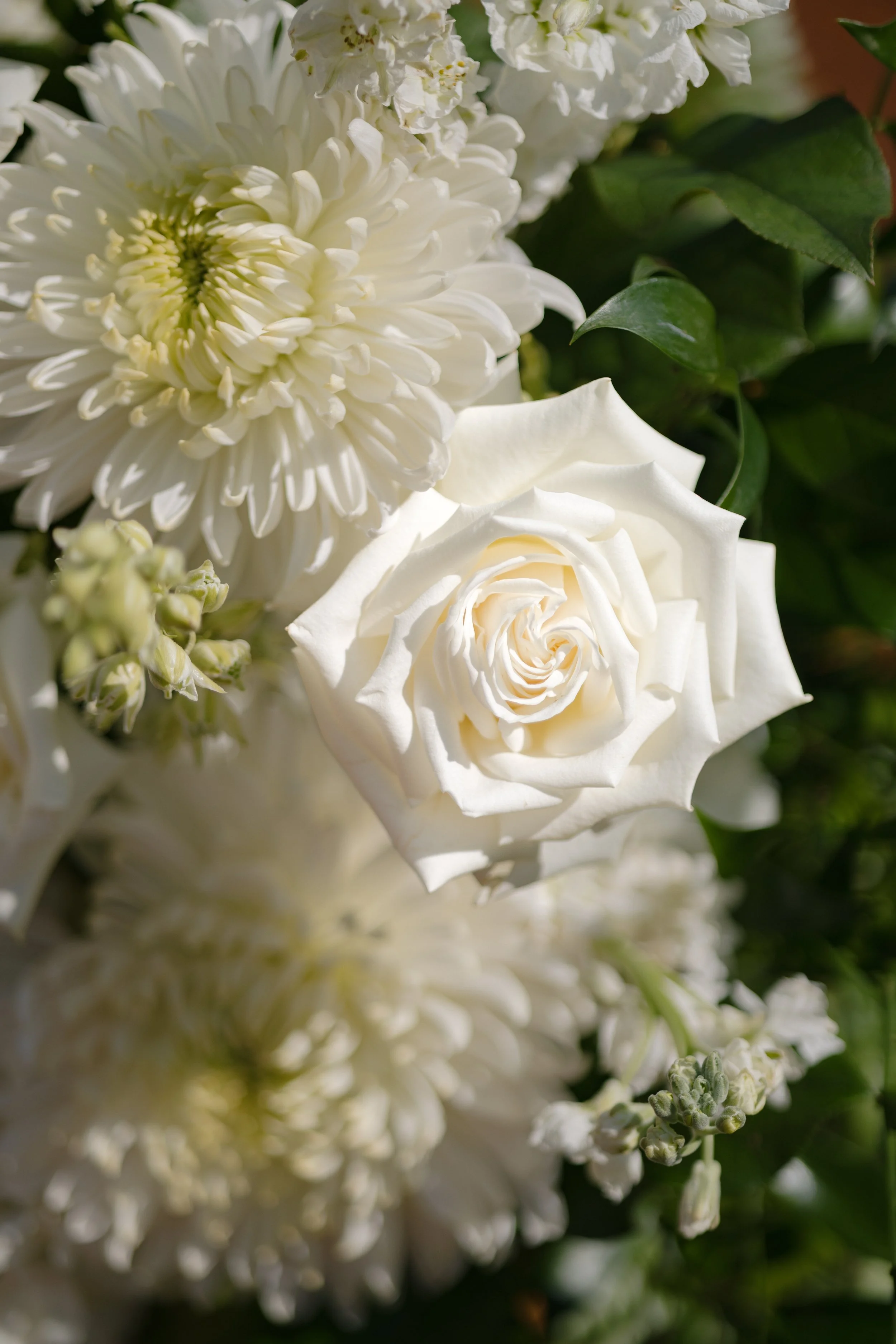 Wedding Flowers