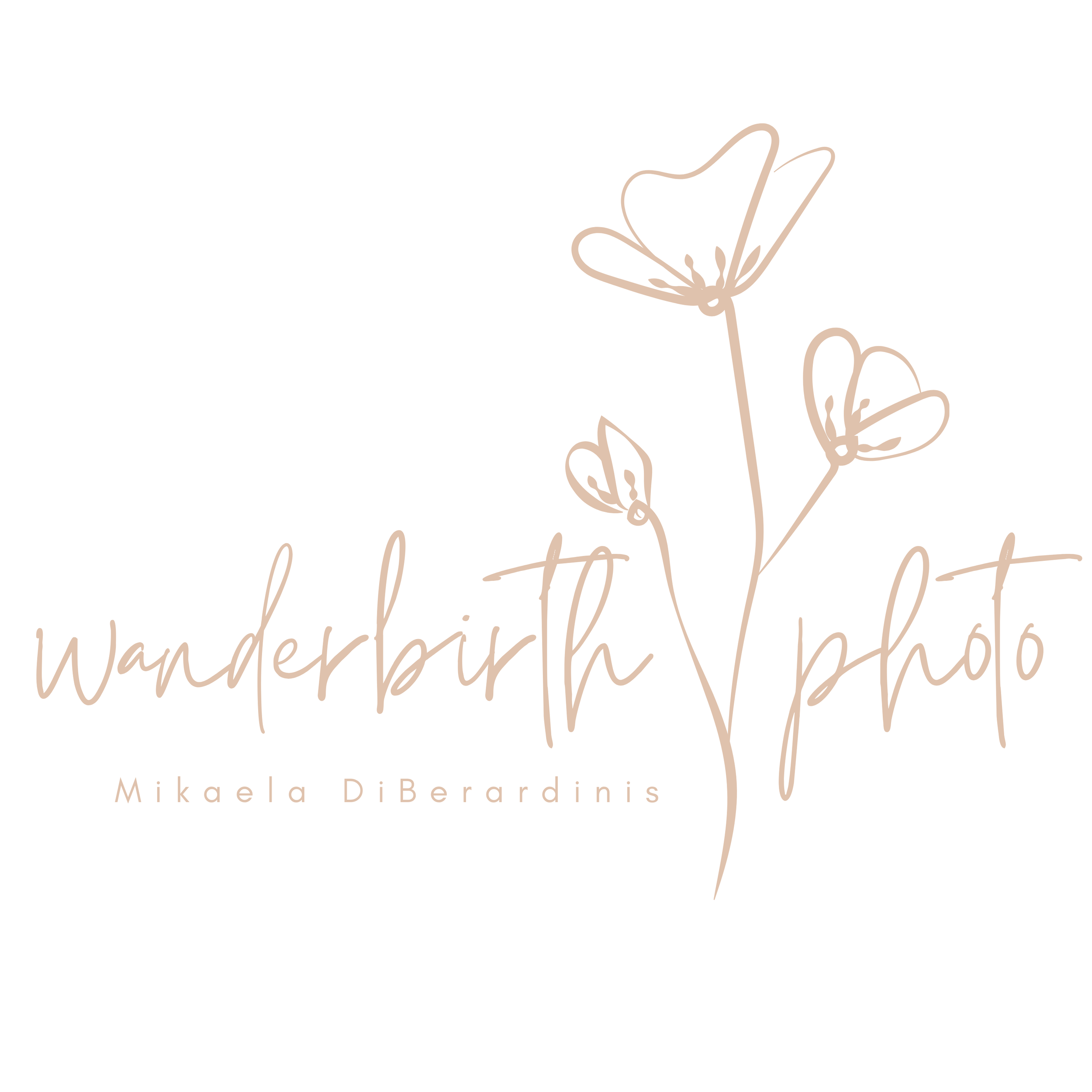 Wanderbirth Photo + Studio Logo, Mikaela DIBerardinis Photography Bozeman, MT