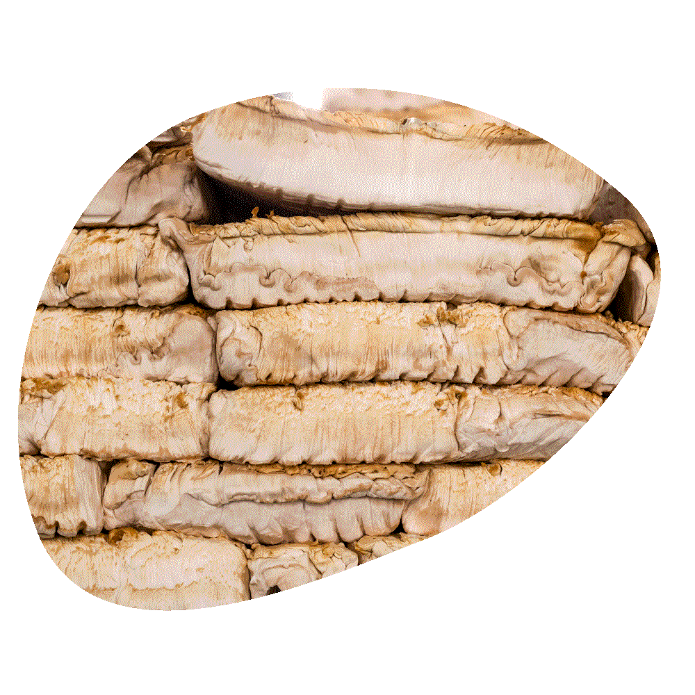 24_WEB_Overhaul_MyBaconPg_CaroselIMGs_Simple-Ingredients.png