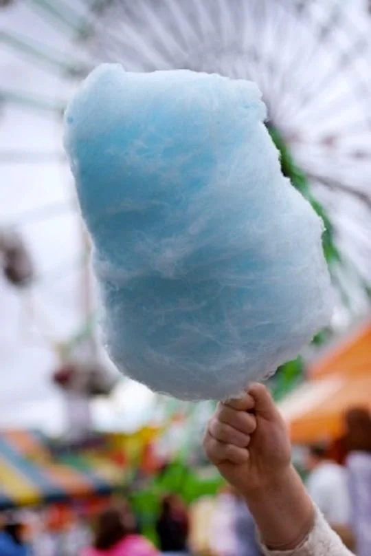 San Diego County Fair