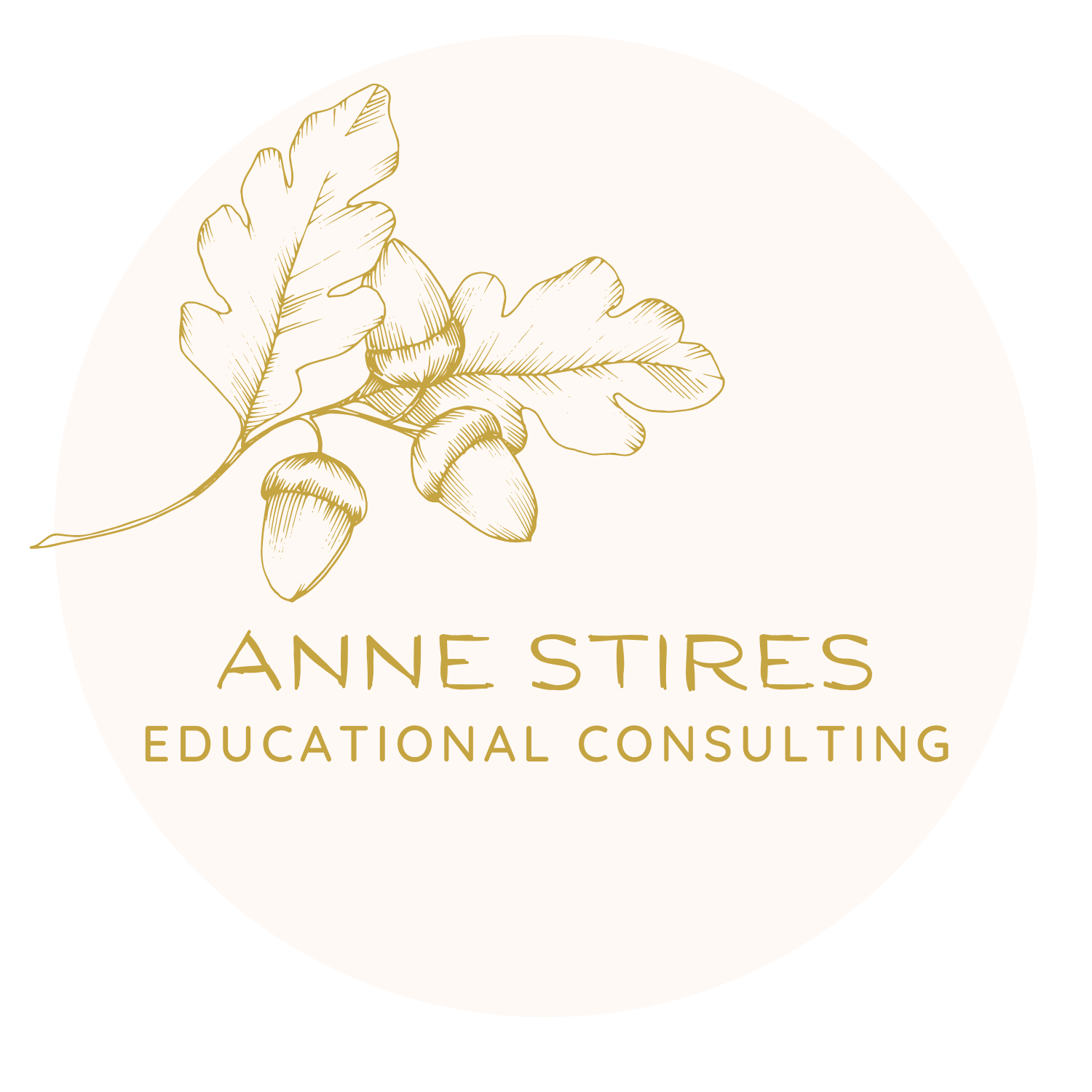 ANNE STIRES CONSULTING