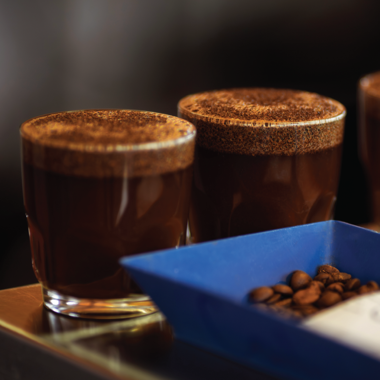 Cupping Calibration in the Coffee Industry: Speaking the Same Sensory Language