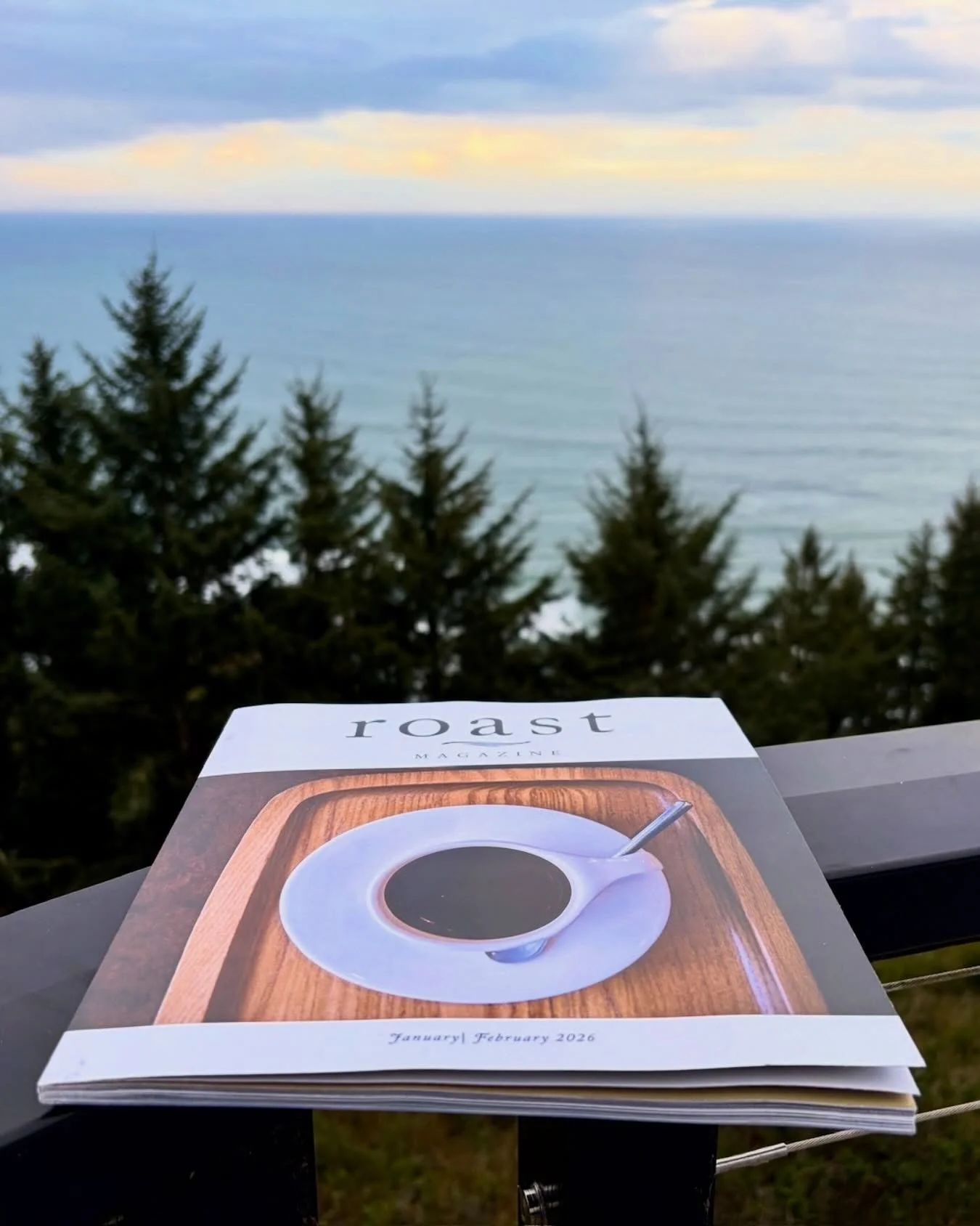 Morning reading, Cannon Beach edition.