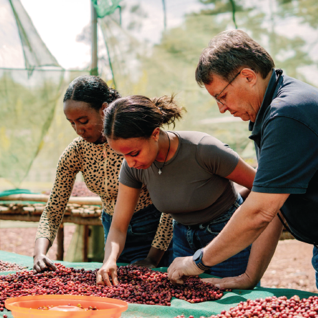 Industry Insights: CQI’s Next Act