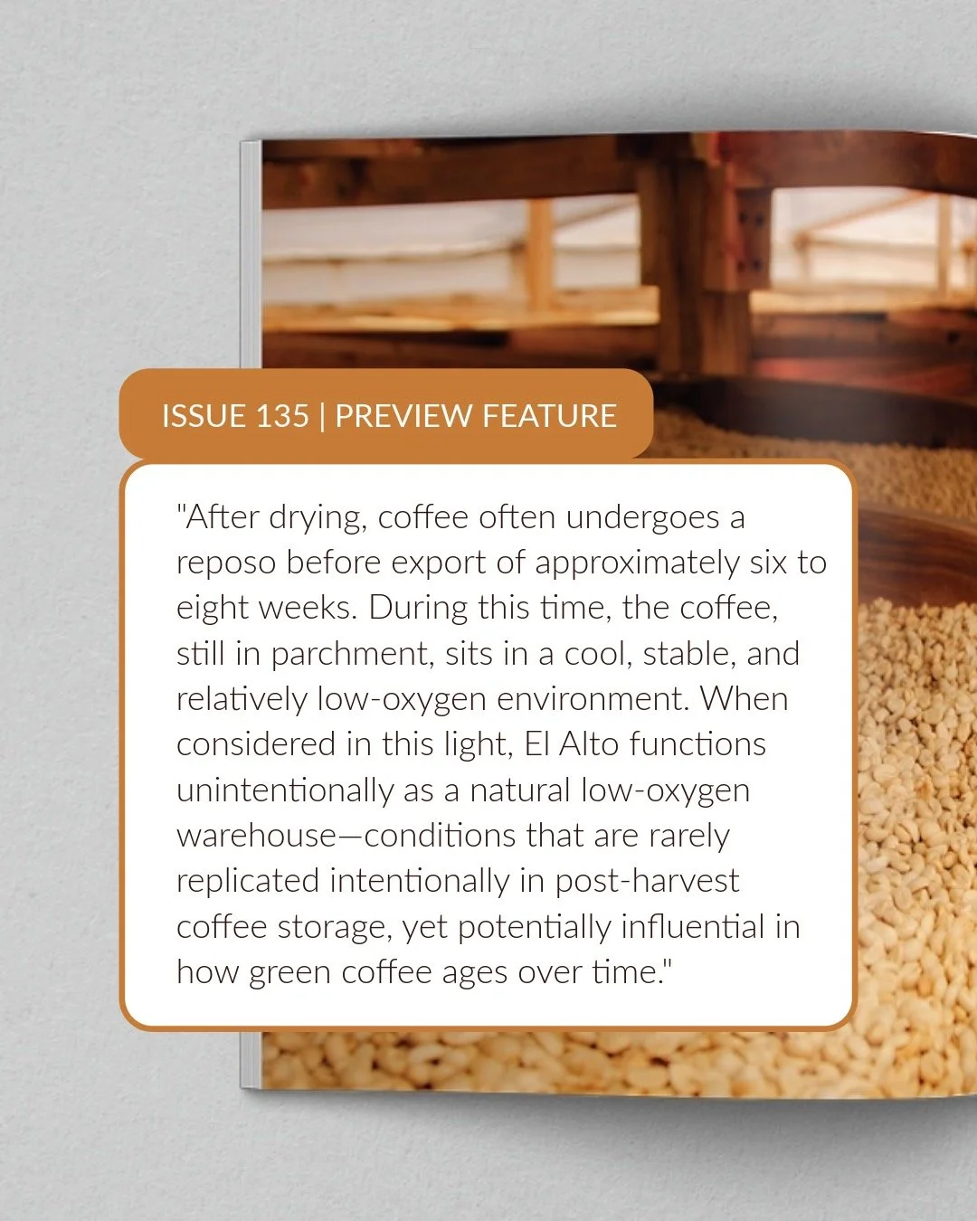 In the May | June issue, Joseph Stazzone of Cafe Kreyol shares findings from a two-year study on high-altitude reposo in Bolivia. This issue preview article explores what the data means for how we think about storage, aging, and quality over time. Fu