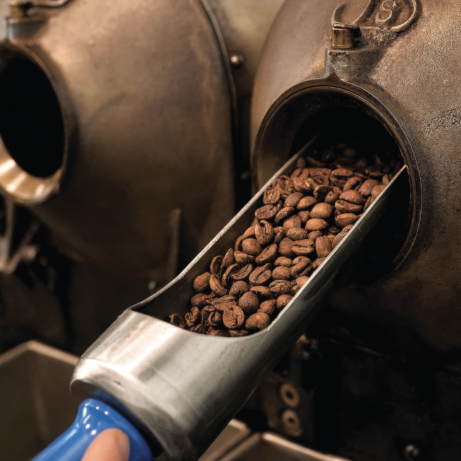 Decaf Reconsidered: Insights for Better Roasting