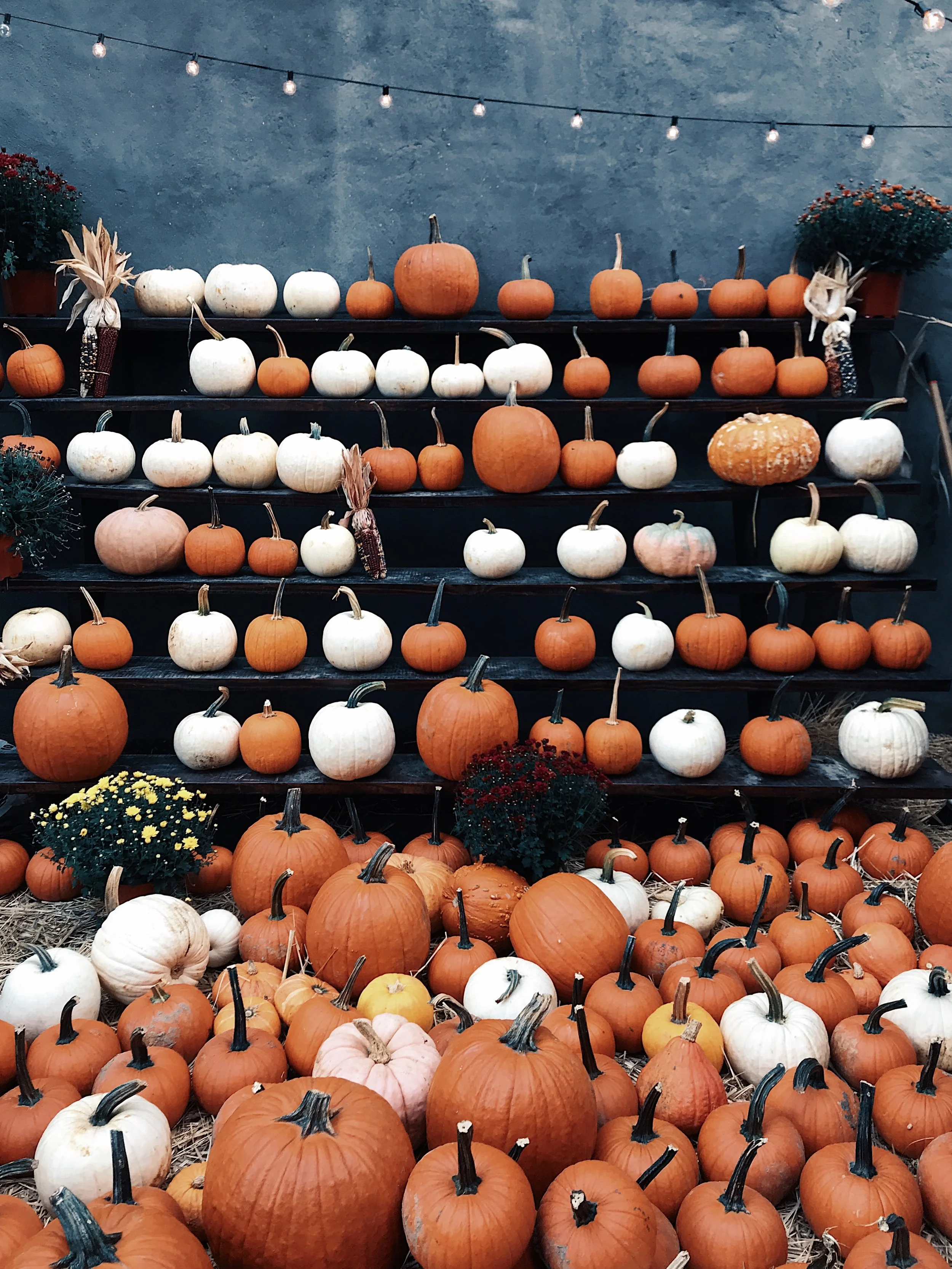 Fall into Freshness: October Cleaning Tips from Your Boutique Cleaning Experts!