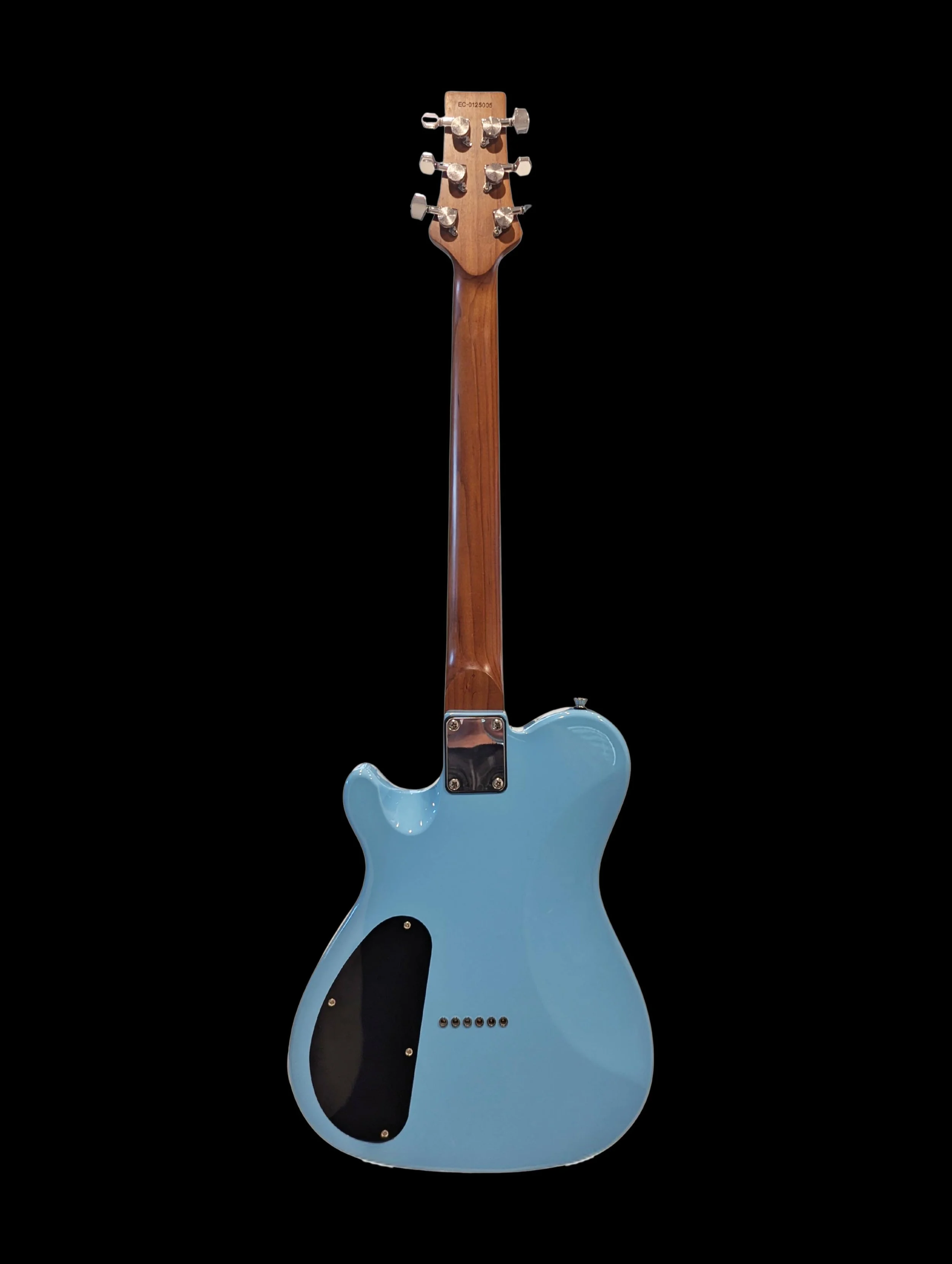 EC_Blue_back.jpg