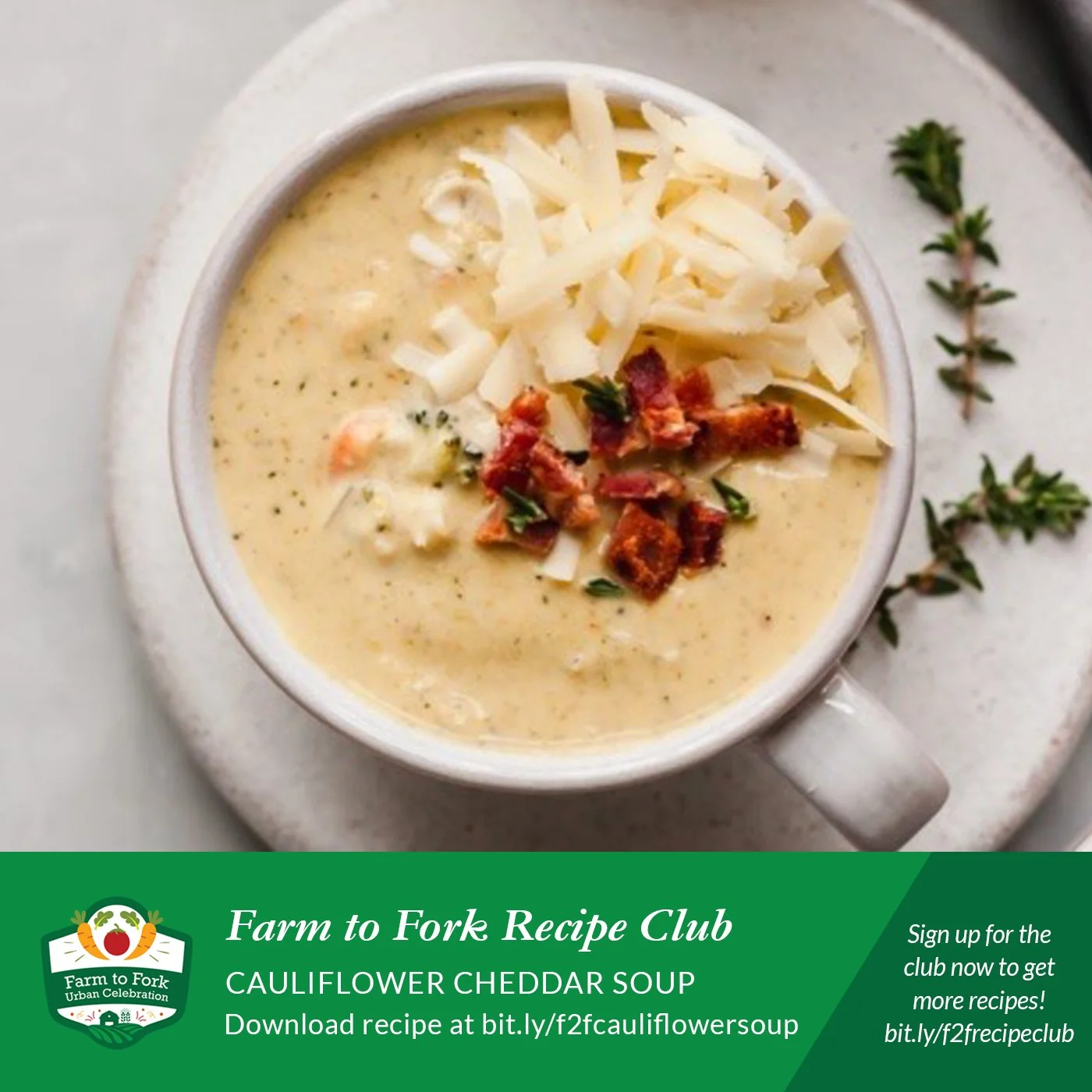Week 4-Cauliflower Cheddar Soup.jpg