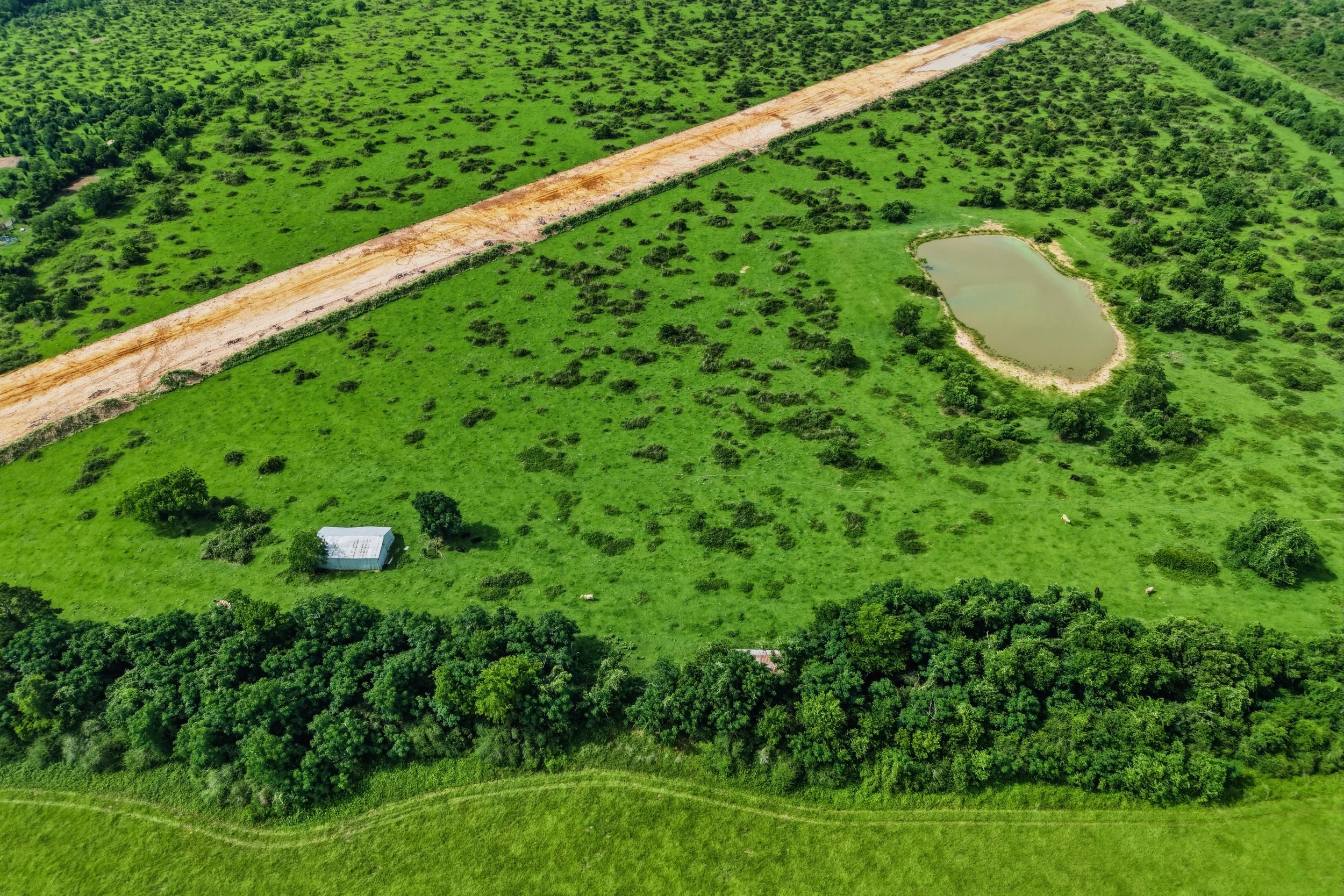 DJI_20260603101628_0099_D.jpg