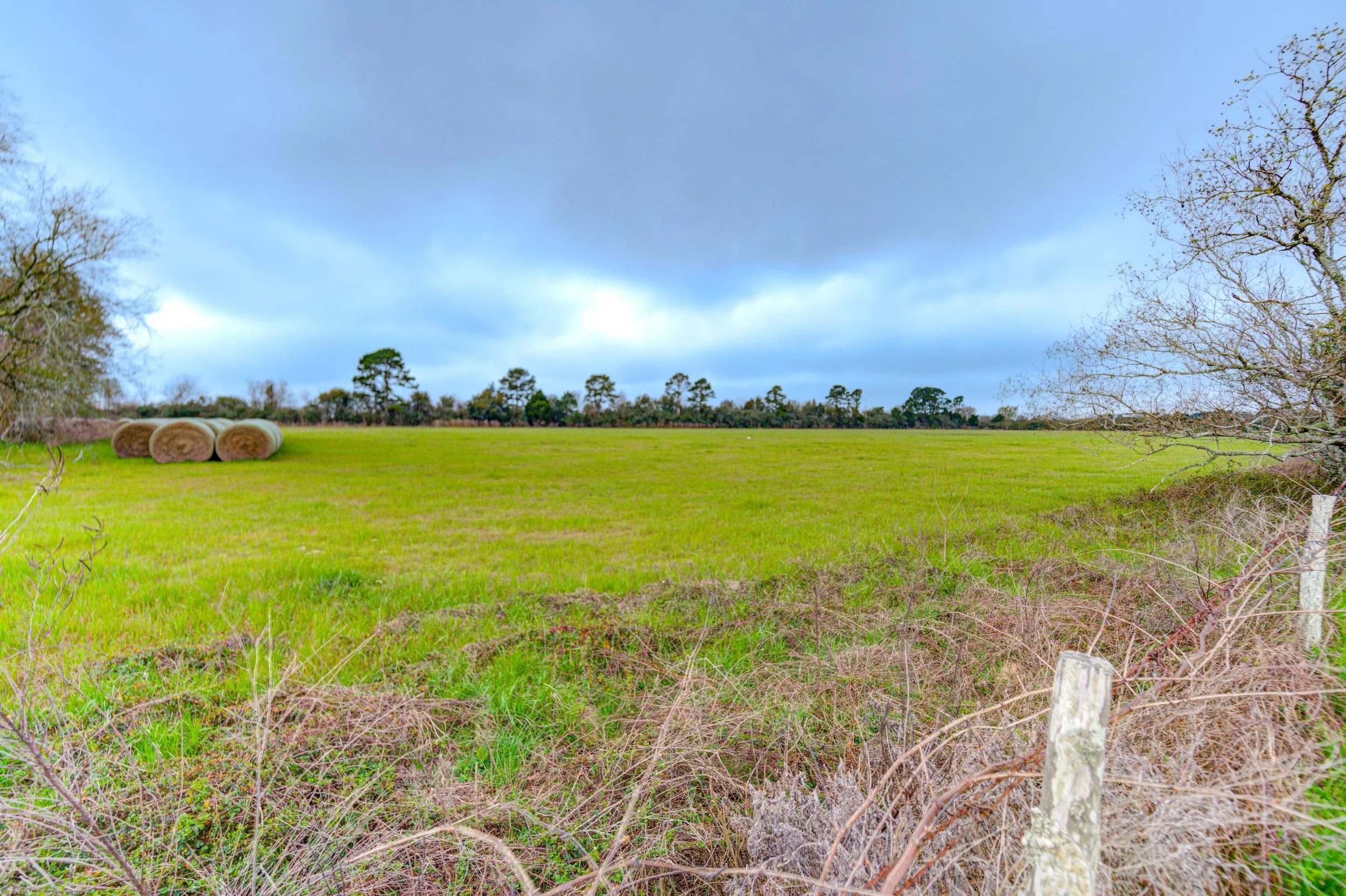 untitled (102 of 13).jpg