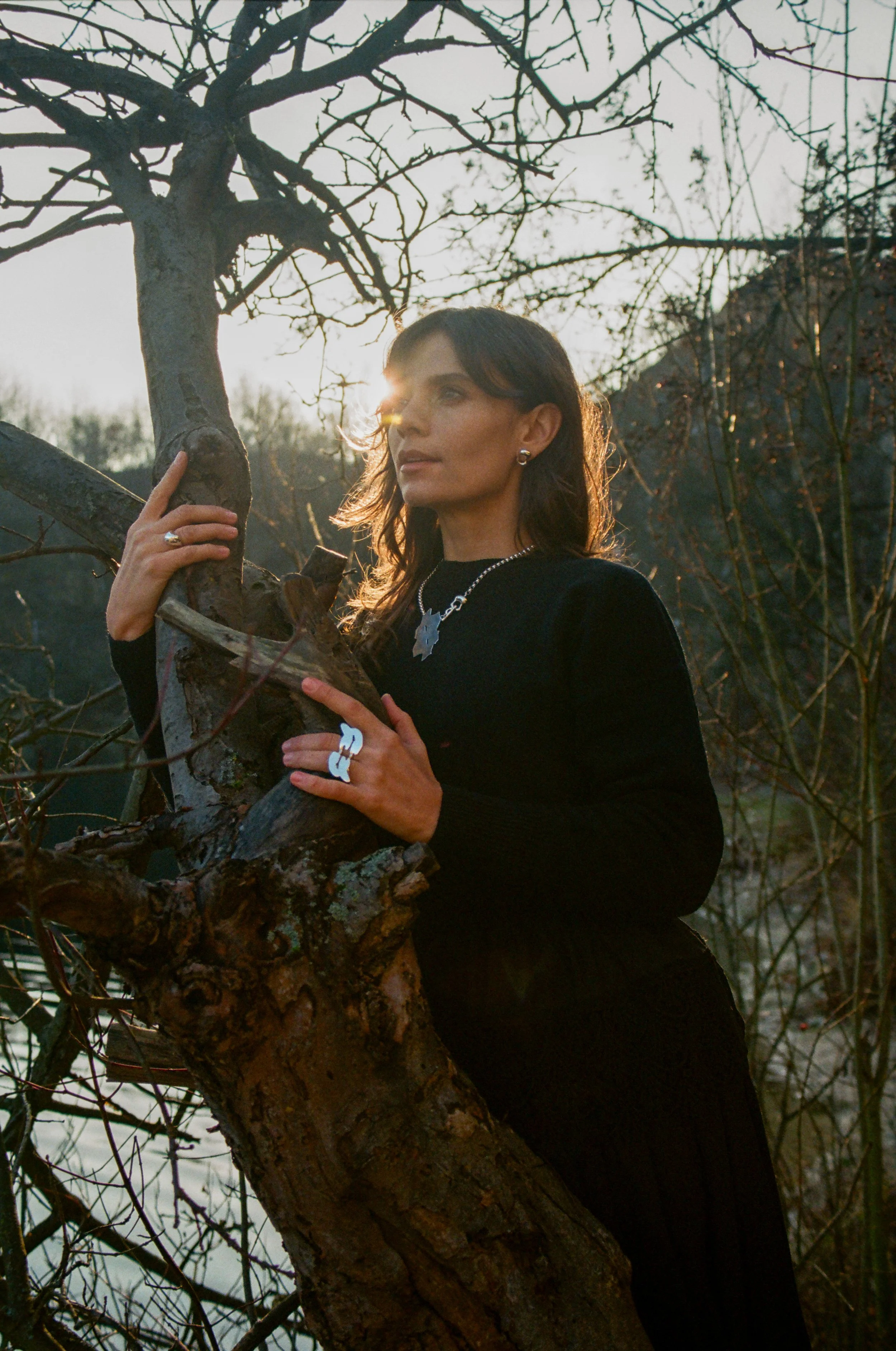 MAGDALENA ZIELASKO TRAHIMORY II