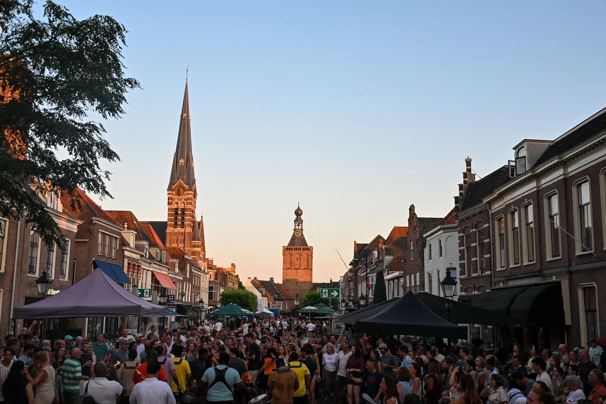 TOF_0892.jpg