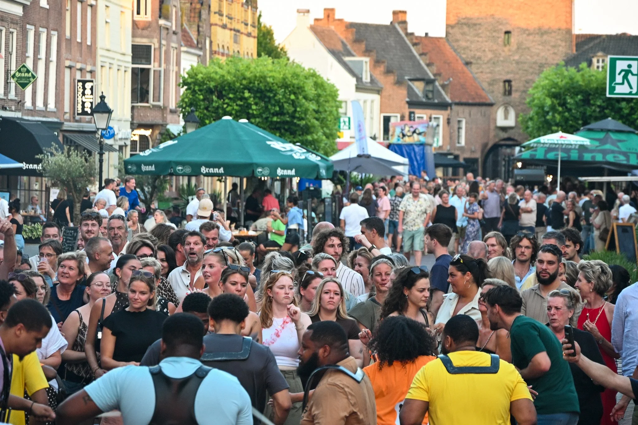 TOF_0884.jpg