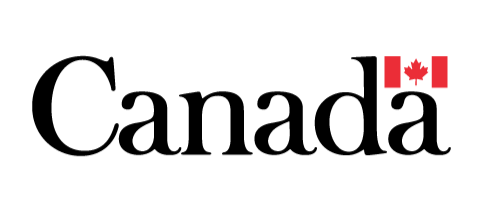 Canada wordmark logo with a small Canadian flag above the third letter 'a'