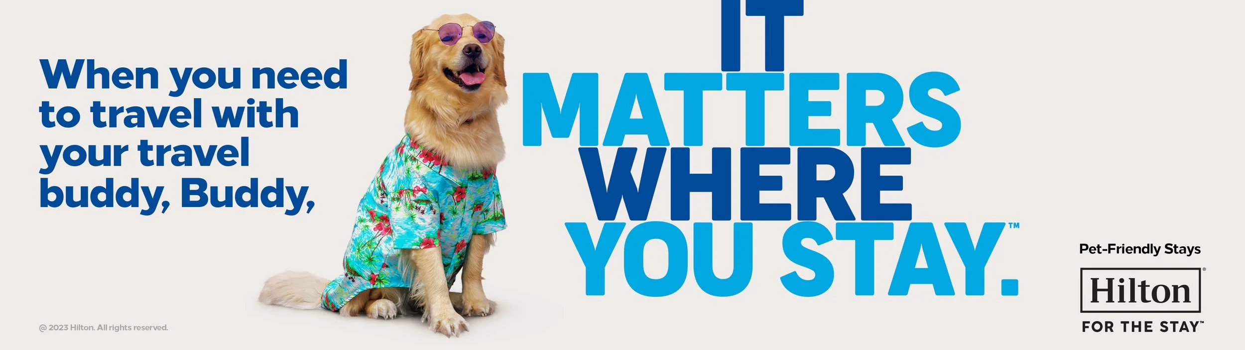 A dog wearing sunglasses and a hawaiian shirt with text about travel accommodations for pets on a hotel advertisement
