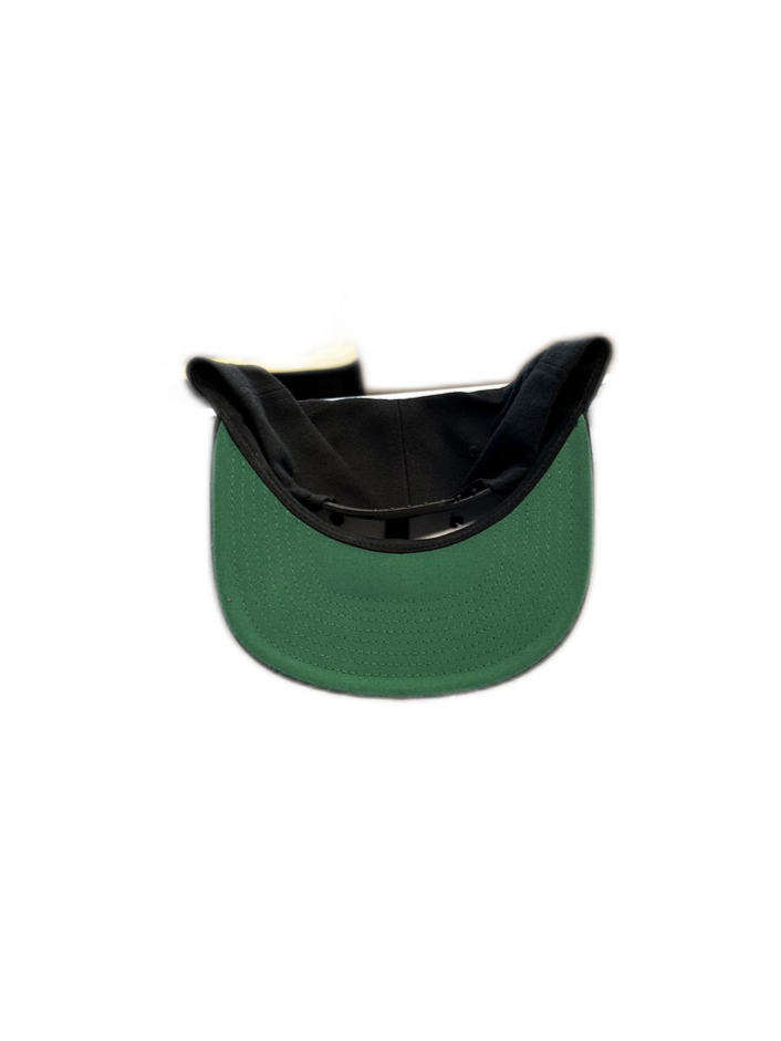 imageedit_282_3528640811.png