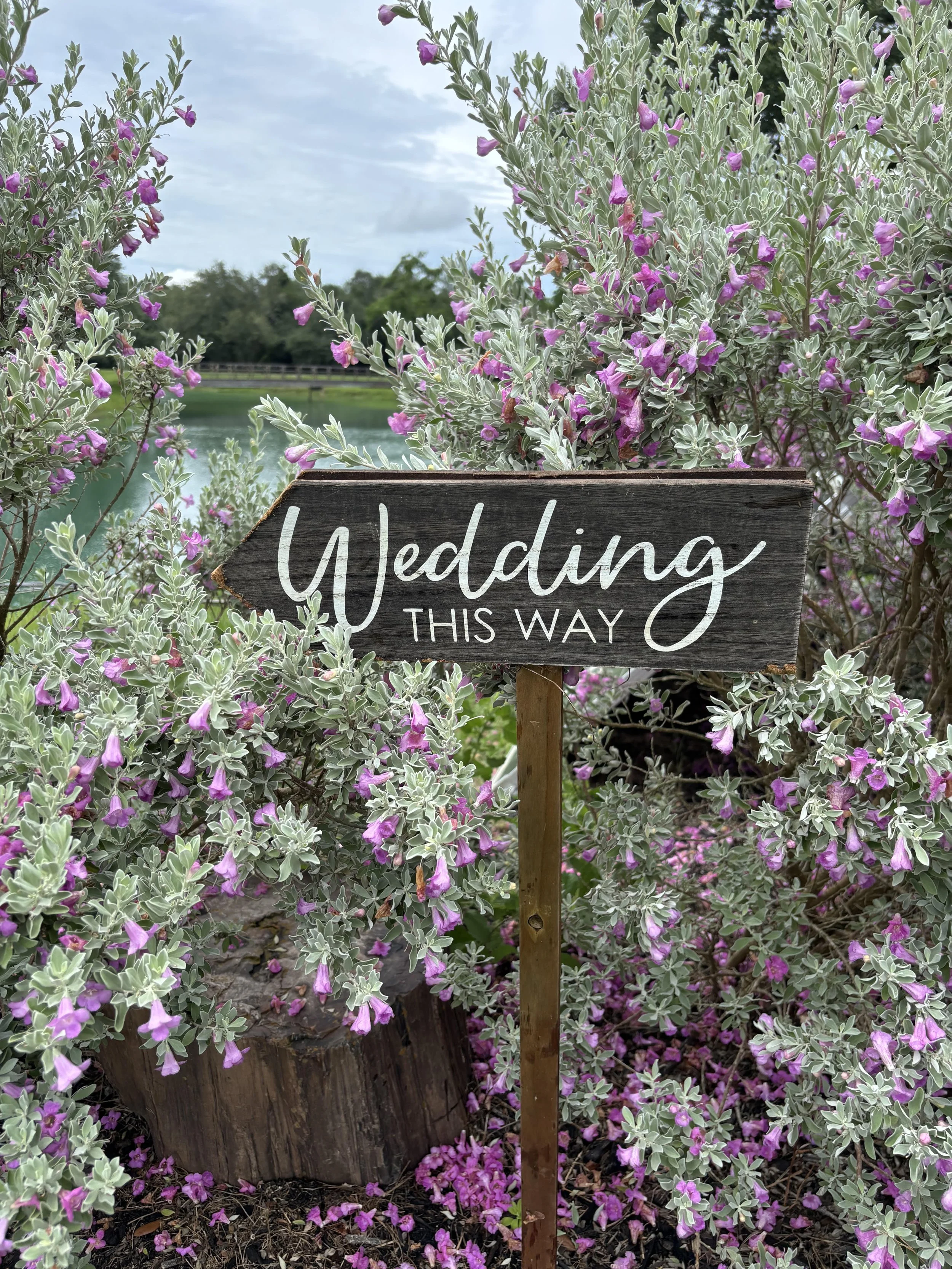 Texas Sage_Wedding This Way.jpg
