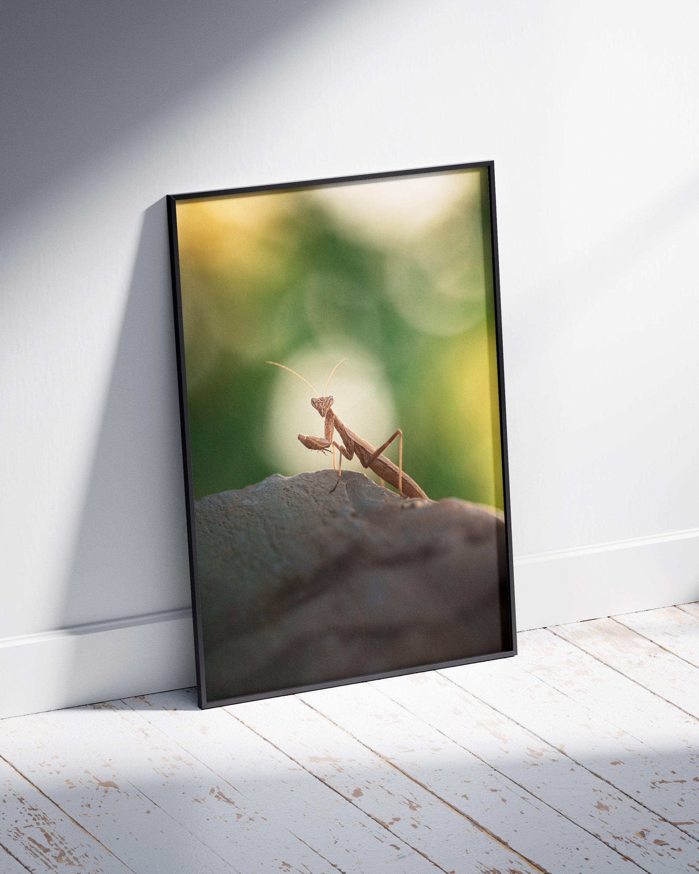Poster_Frame_Mockup_2 (0-00-00-001).jpg