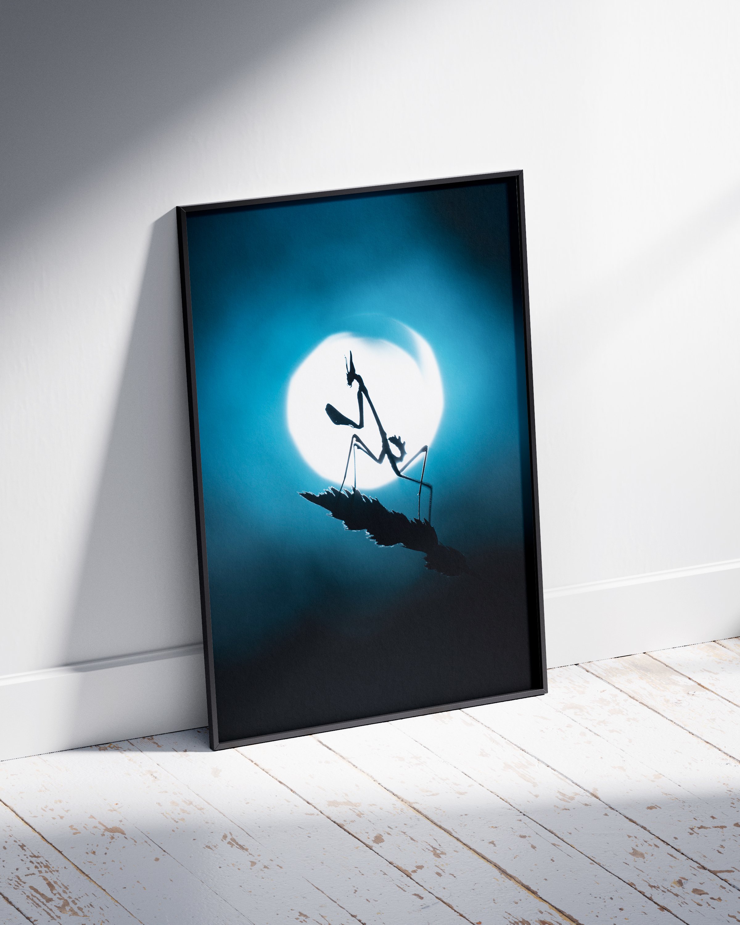 Poster_Frame_Mockup_2 (0-00-00-00).jpg
