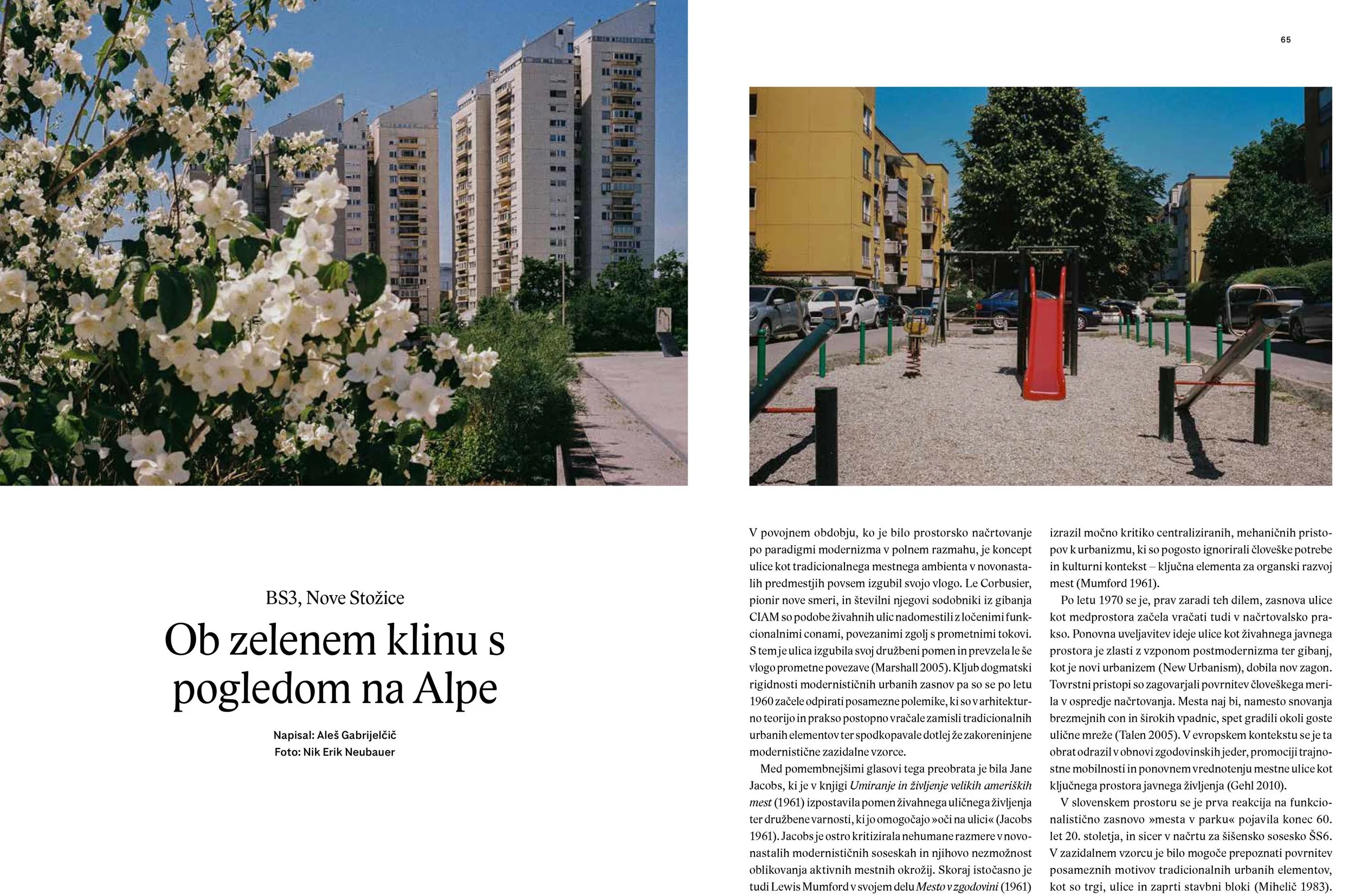 BS3_ (1)-1.jpg