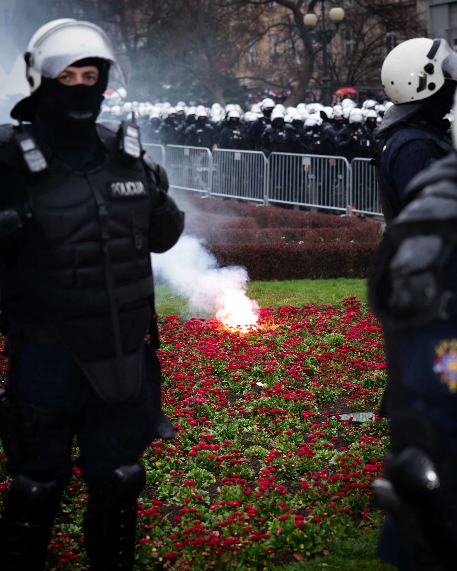 serbia_webpage040.jpeg