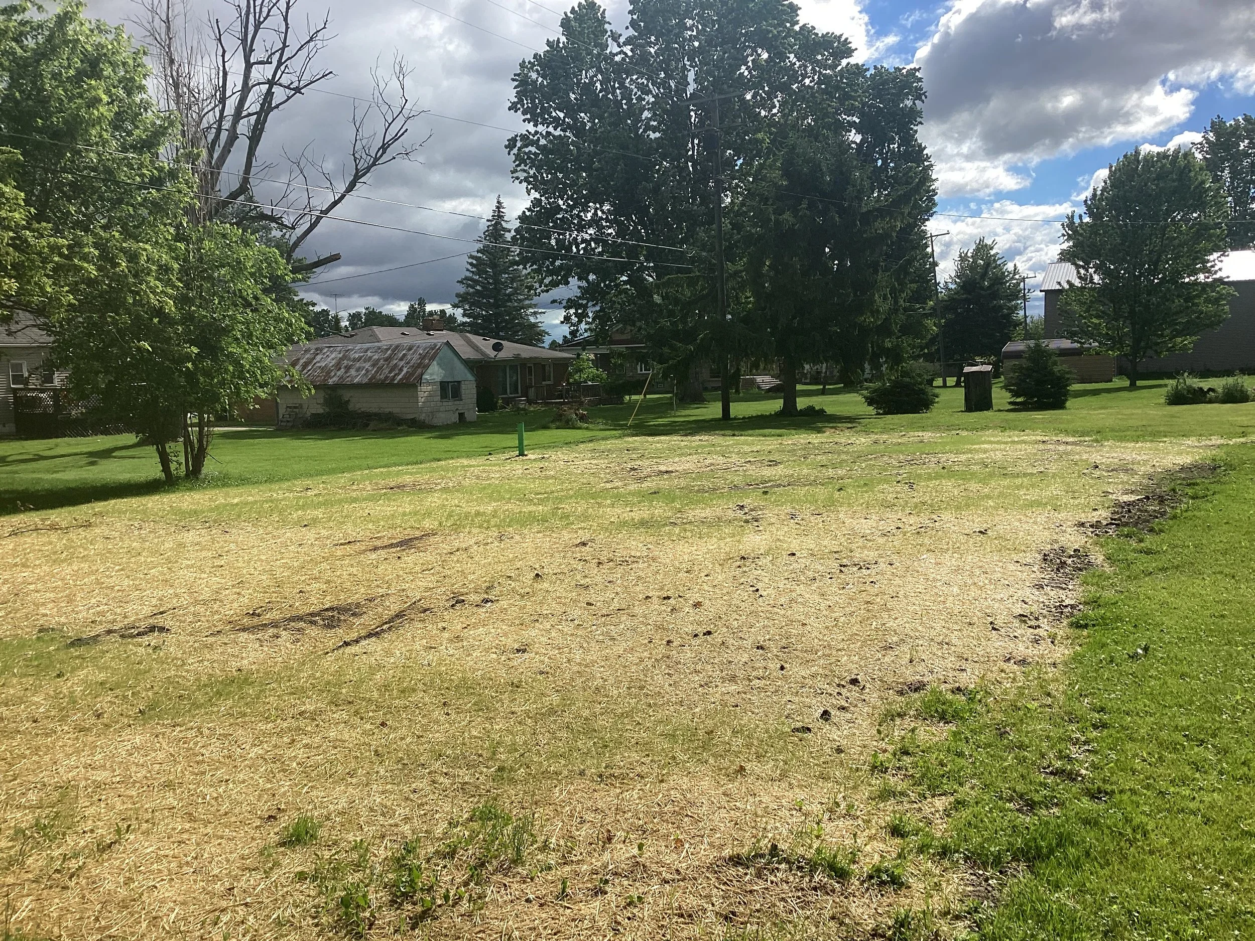 Successful Blight Elimination Project Wrap Up