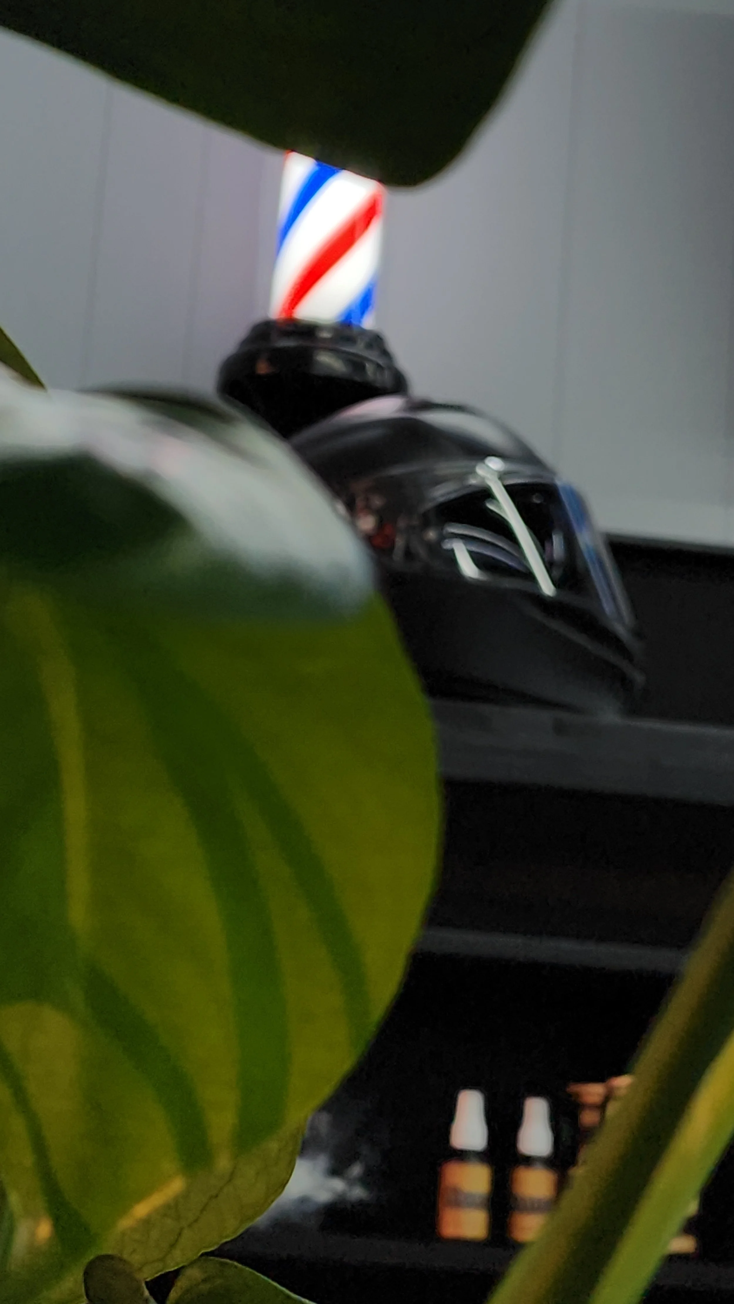 20250128_164613.jpg