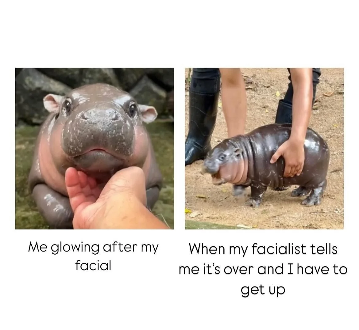 We all know that feeling 😭 
&bull;
&bull;
&bull;
&bull;
&bull;
#funnyestheticianmemes #moodeng #babyhippo #facial #facialcare #estheticianlife #moisturizedandblessed