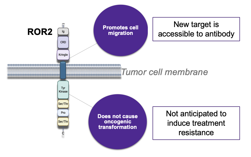 Pipeline — Traverse Biotechnology