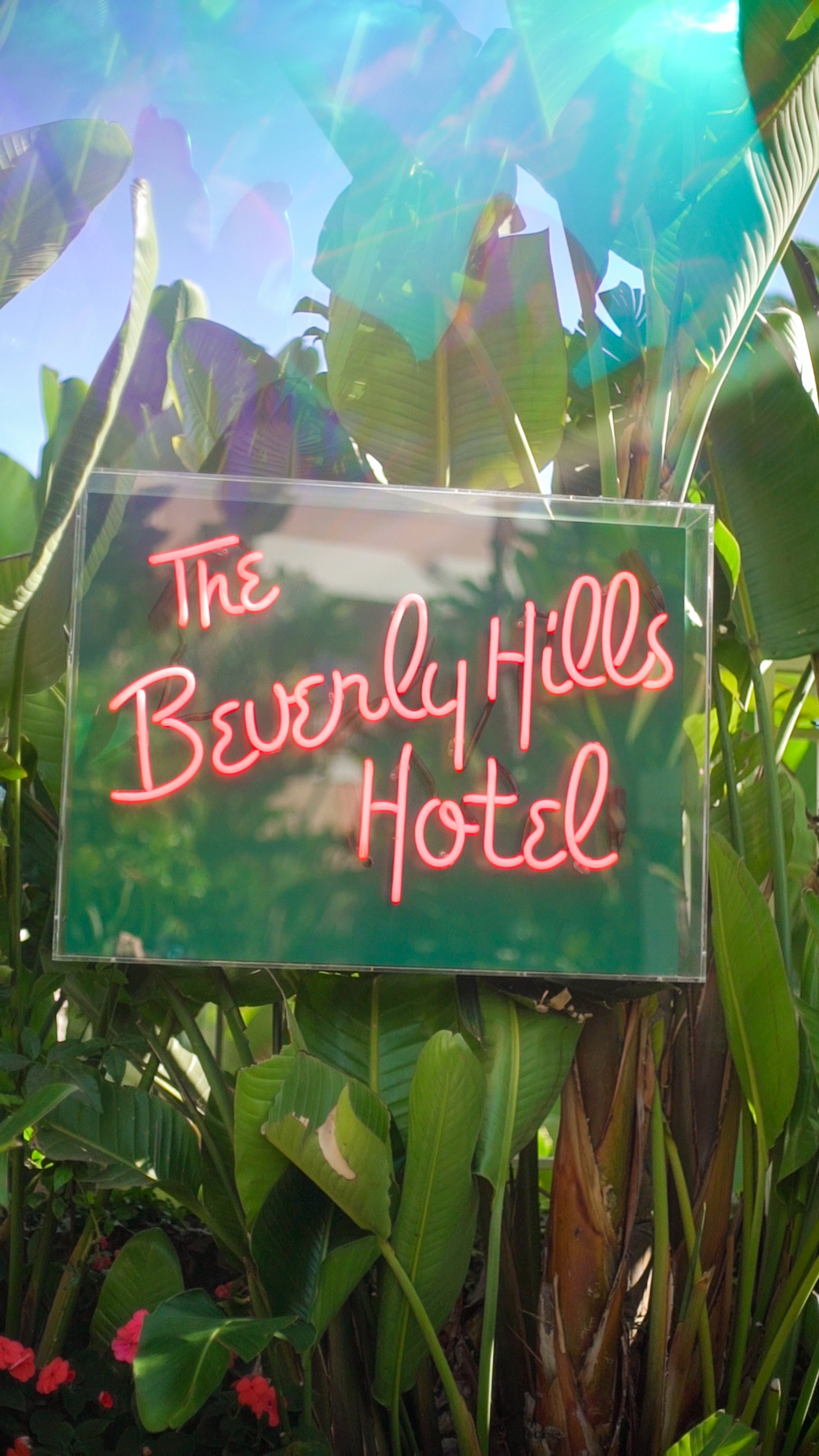 Berverly-Hills-Video-Assembly-WithColor.00_01_54_01.Still176.jpg