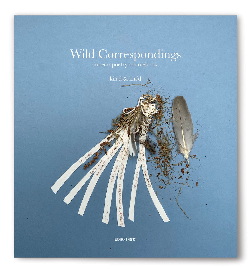 cover01_wildcorrespondings_2000px_01.jpg