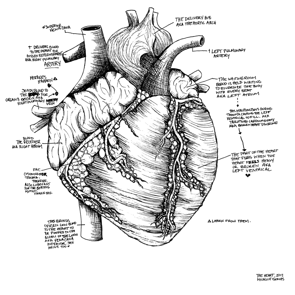 Anatomical_TheHeart2017_MGraves_5in.png