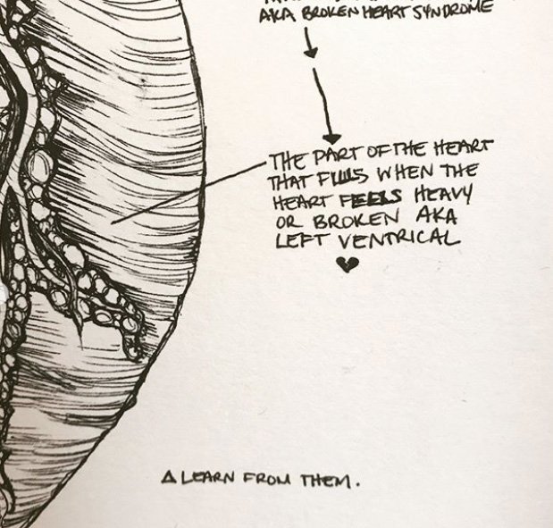 09 Anatomical_TheHeart2017-detail3_MGraves.jpg