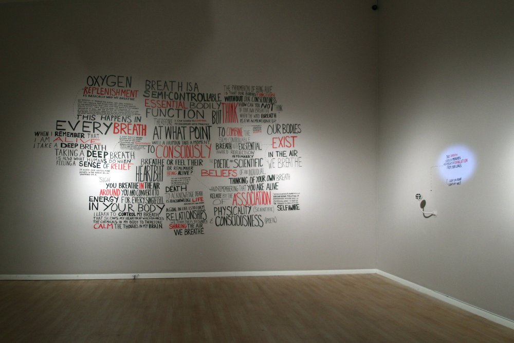 Transgression Through Your Breath, 2012 (San Antonio installation)