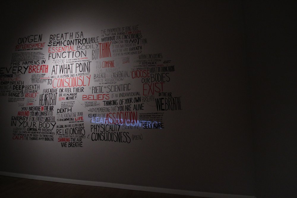 Transgression Through Your Breath, 2012 (San Antonio installation detail)