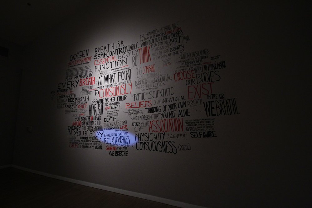 Transgression Through Your Breath, 2012 (San Antonio installation opening reception)