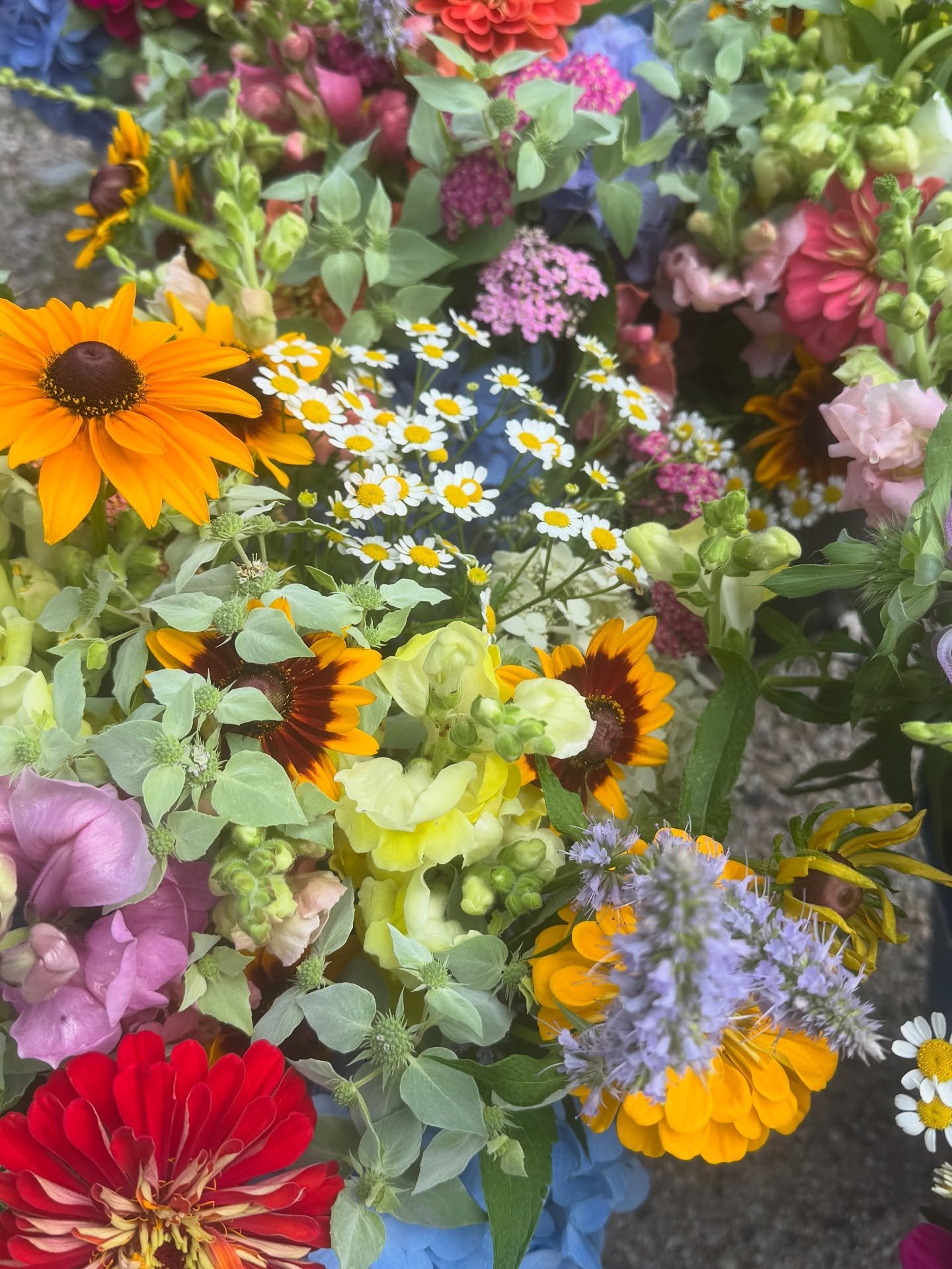 Early evening subscription deliveries because I was able to get away last night to visit some old college friends. So good for the soul! #bouquetsubscriptions #localflowers #flowerfarmer #flowerfarm #freshcutflowers