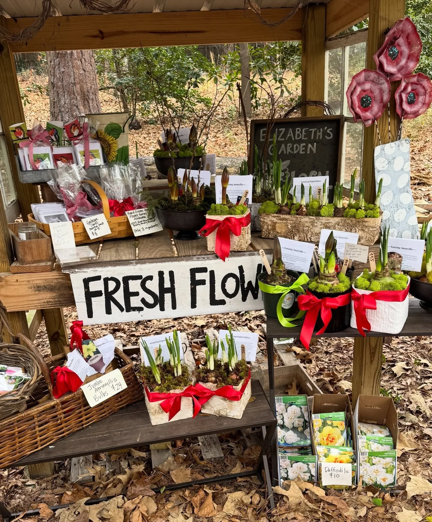 Holiday flower stand is open! I&rsquo;ll be adding things throughout the day. There are still some great things to come pick up! Feel free to message me too as I have some more bulbs about to be ready.